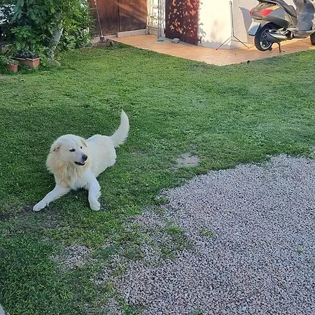 Σπίτι διακοπών Appartamento, 2 Adulti E 2 Bambini A 150 Dal Mare *